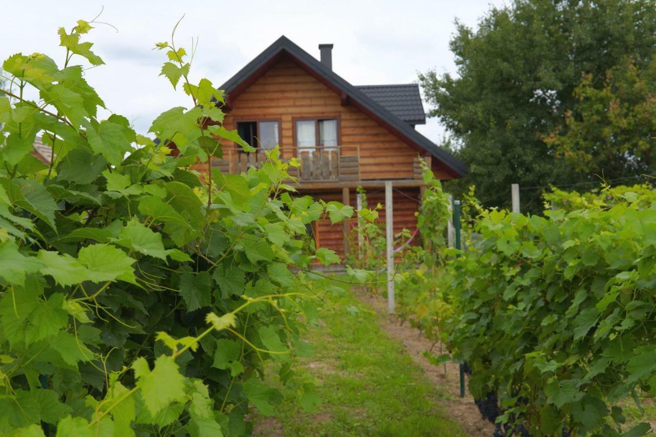 Villa Dom Pachnacy Zywica Salzberg Exterior foto