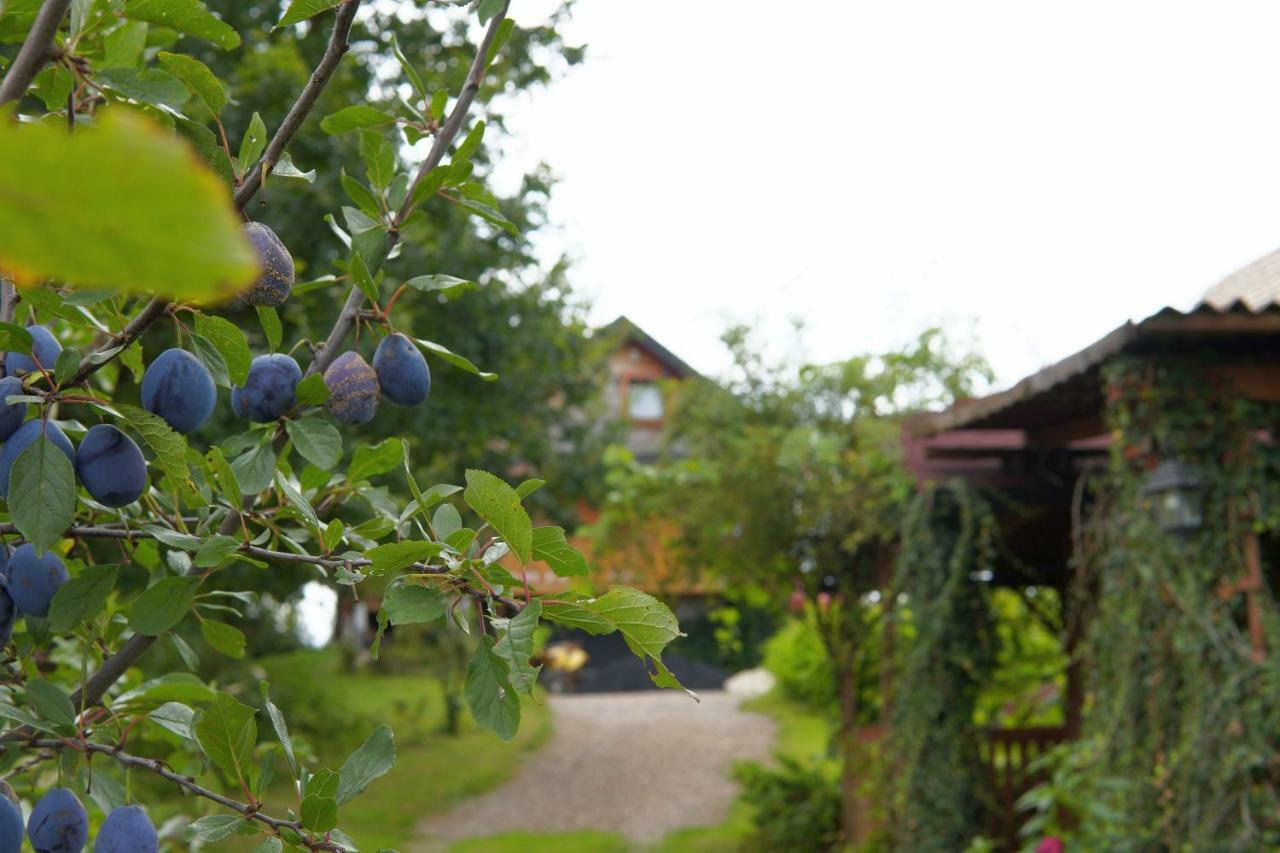 Villa Dom Pachnacy Zywica Salzberg Exterior foto
