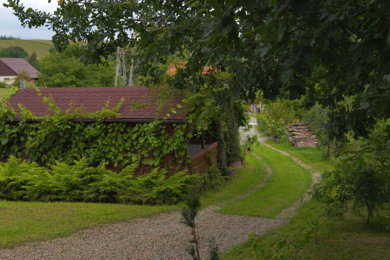 Villa Dom Pachnacy Zywica Salzberg Exterior foto